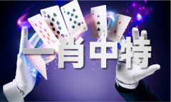 <b>积极对接国度计谋科量和资本</b>