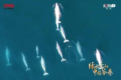 水青山中国答卷》以“绿水青山就是金山银山”